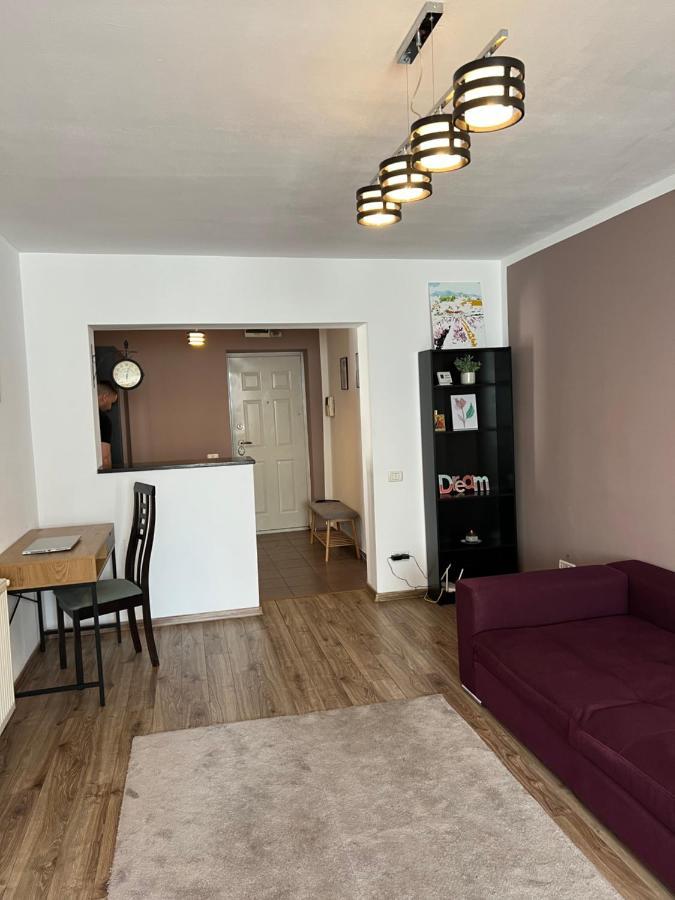 Nordic Sunny Apartment Suceava Ngoại thất bức ảnh